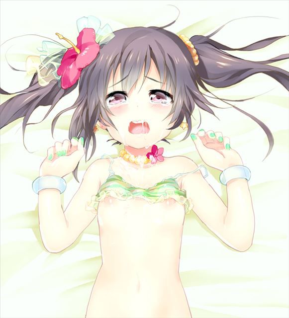 Love live! The erotic pictures part 17 (Yazawa smile) 11