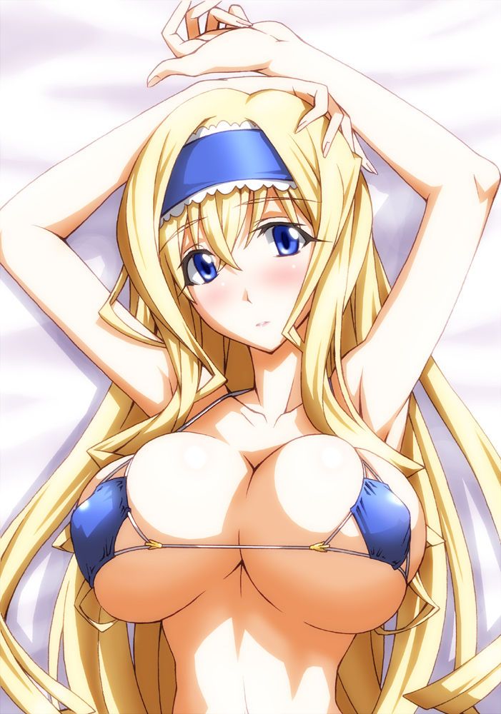 In the [infinitistratos] Cecilia Alcott secondary erotic pictures! 7