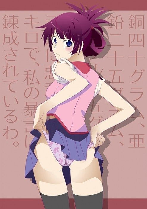[Rainbow erotic image: erect to wear pants! Senjogahara, hitagi-Chan of erotic images 45 | Part1 14