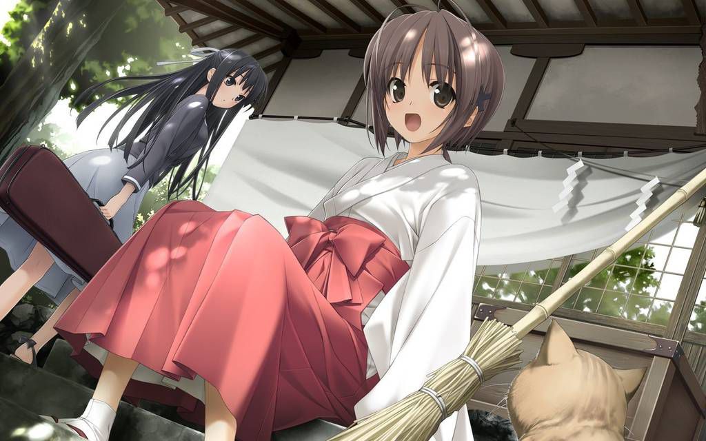 Shrine maiden's second erotic pictures 16