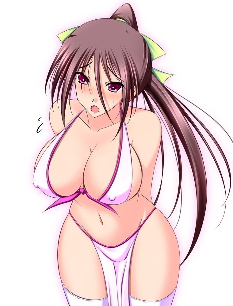 [59 cards: infinite-Stratos shinonono_houki of erotic pictures! 23