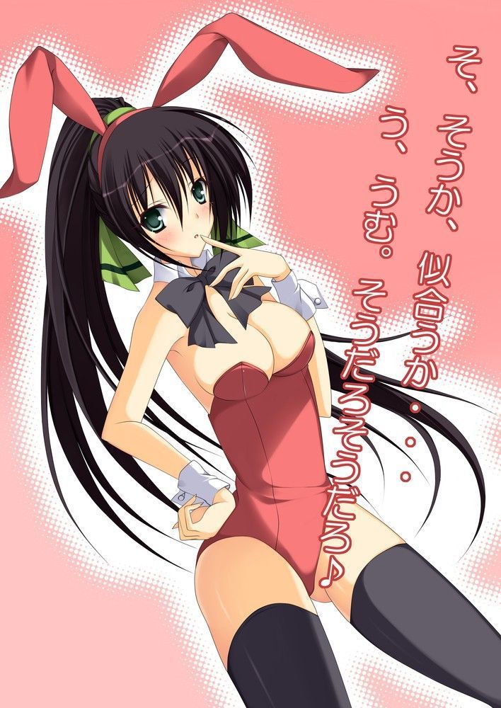 [59 cards: infinite-Stratos shinonono_houki of erotic pictures! 27