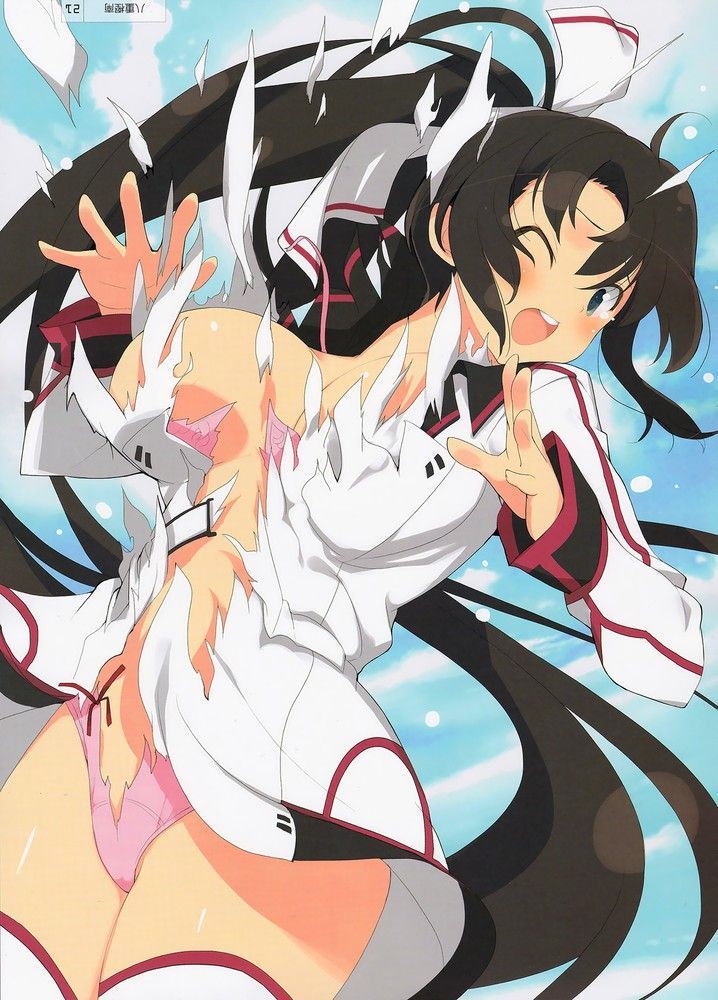 [59 cards: infinite-Stratos shinonono_houki of erotic pictures! 50