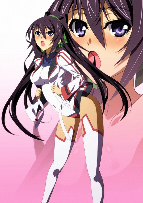 [Infinite Stratos] shinonono_houki of the erotic image Part3 12