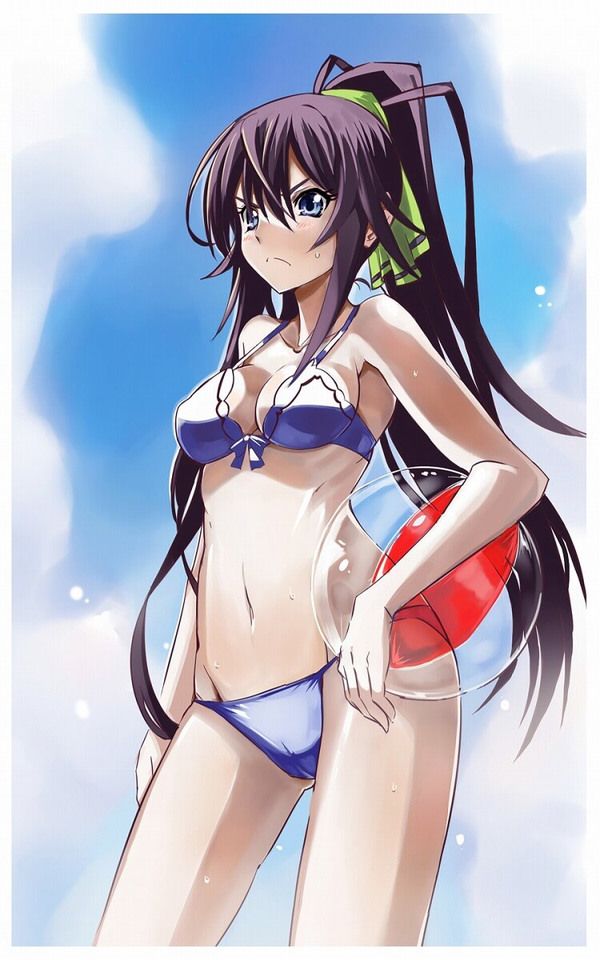 [Infinite Stratos] shinonono_houki of the erotic image Part3 2