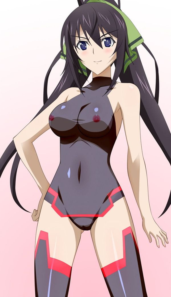 [Infinite Stratos] shinonono_houki of the erotic image Part3 20