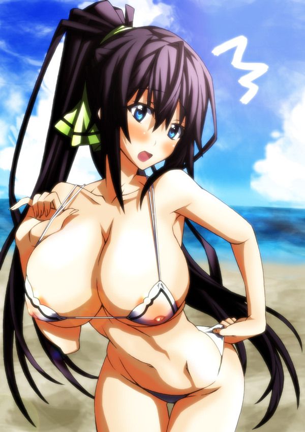 [Infinite Stratos] shinonono_houki of the erotic image Part3 28