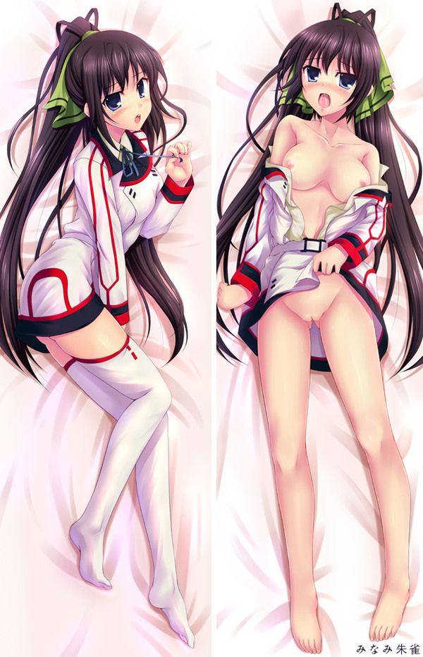 [Infinite Stratos] shinonono_houki of the erotic image Part3 30