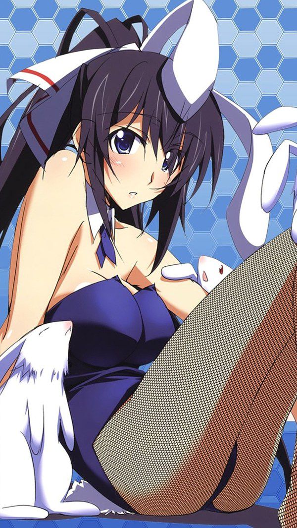 [Infinite Stratos] shinonono_houki of the erotic image Part3 44