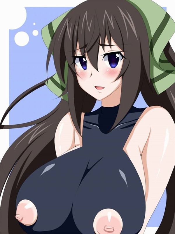 [Infinite Stratos] shinonono_houki of the erotic image Part3 45