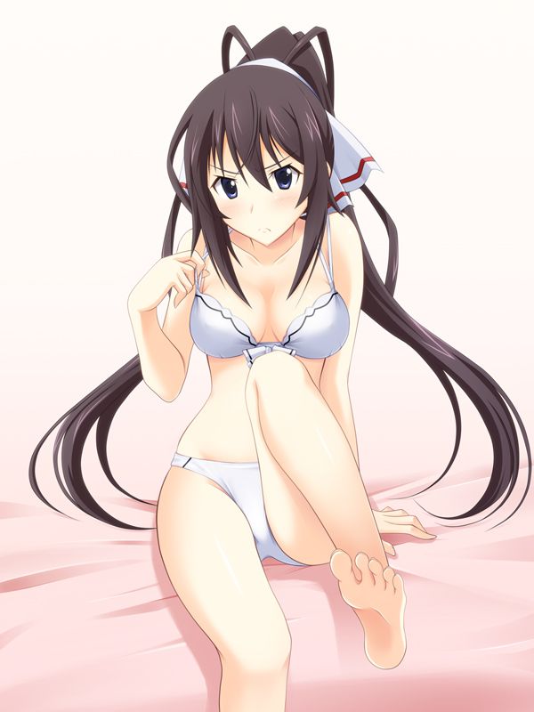 [Infinite Stratos] shinonono_houki of the erotic image Part3 47