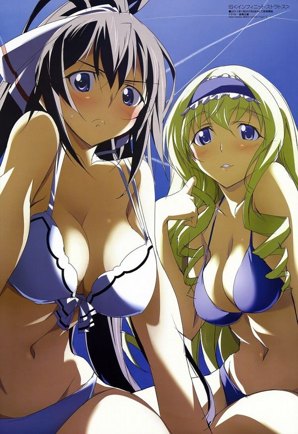 [Infinite Stratos] shinonono_houki of the erotic image Part3 5