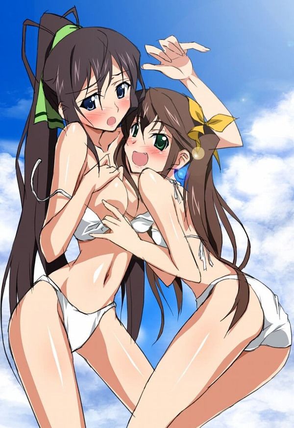 [Infinite Stratos] shinonono_houki of the erotic image Part3 6