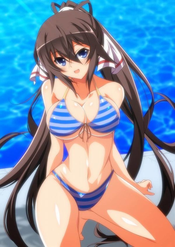 [Infinite Stratos] shinonono_houki of the erotic image Part3 8