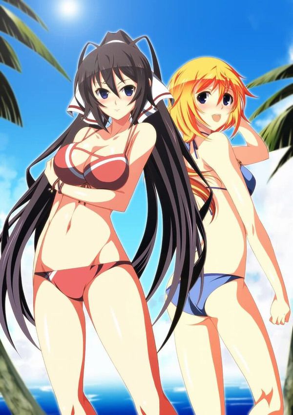 [Infinite Stratos] shinonono_houki of the erotic image Part3 9