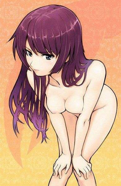 [Rainbow erotic images] original anime is filled with erosion bakemonogatari hentai pictures 45 | Part2 8