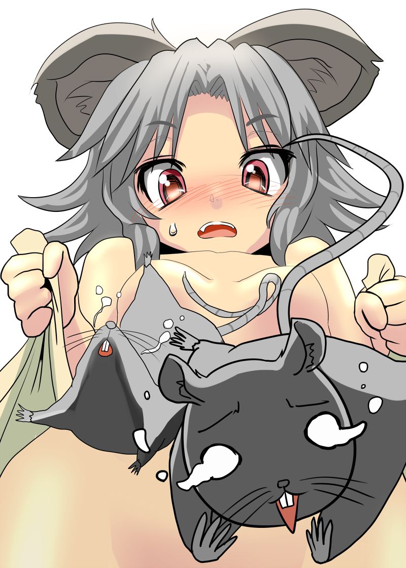 [Touhou Project] nazrin Erotica or pictures 15