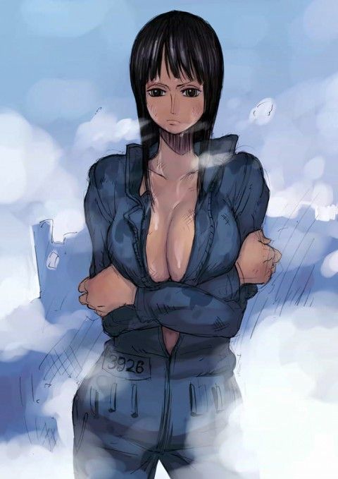 One piece hentai pictures 32