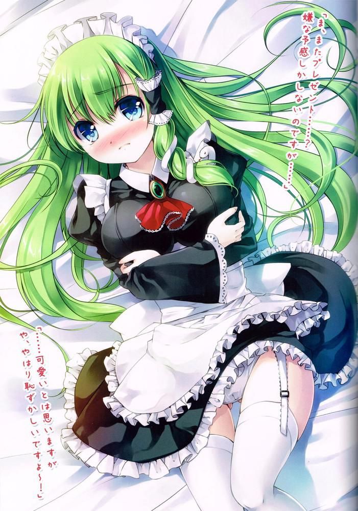 Coming out of the touhou Project hentai pictures! 3