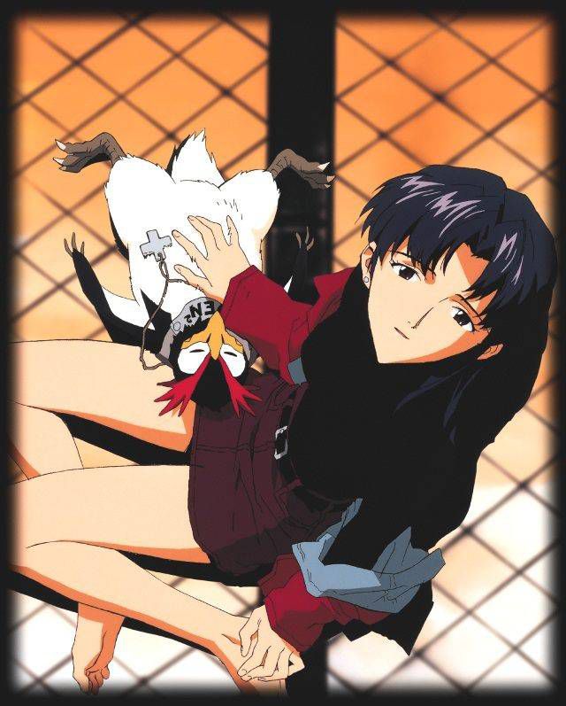 [New Evangelion] Misato katsuragi too erotic images please! 17