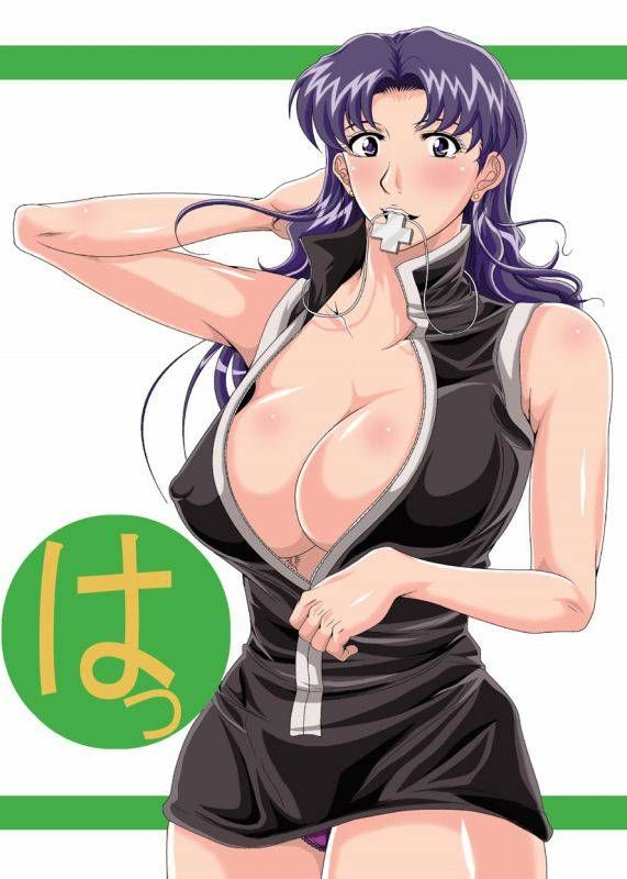 [New Evangelion] Misato katsuragi too erotic images please! 2