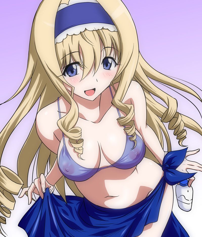 [Infinitistratos] at Cecilia's second erotic pictures! 30