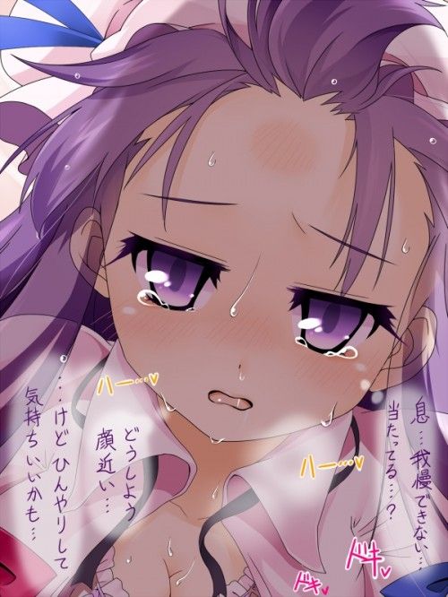 [East] patchouli knowledge's second erotic images (2) 100 [touhou Project] 15