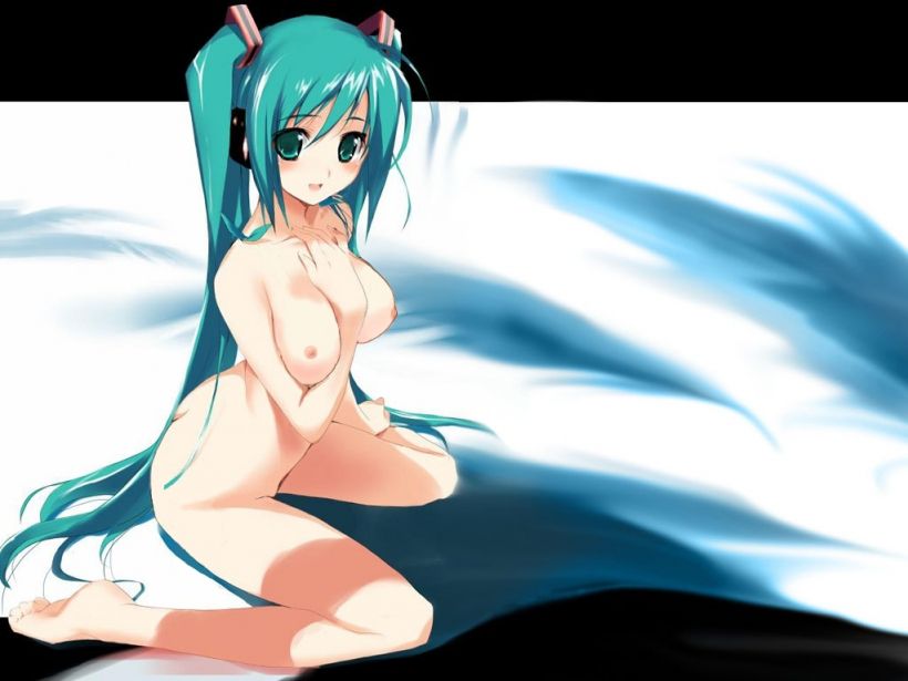 Vocaloid hatsune miku's second erotic pictures 14