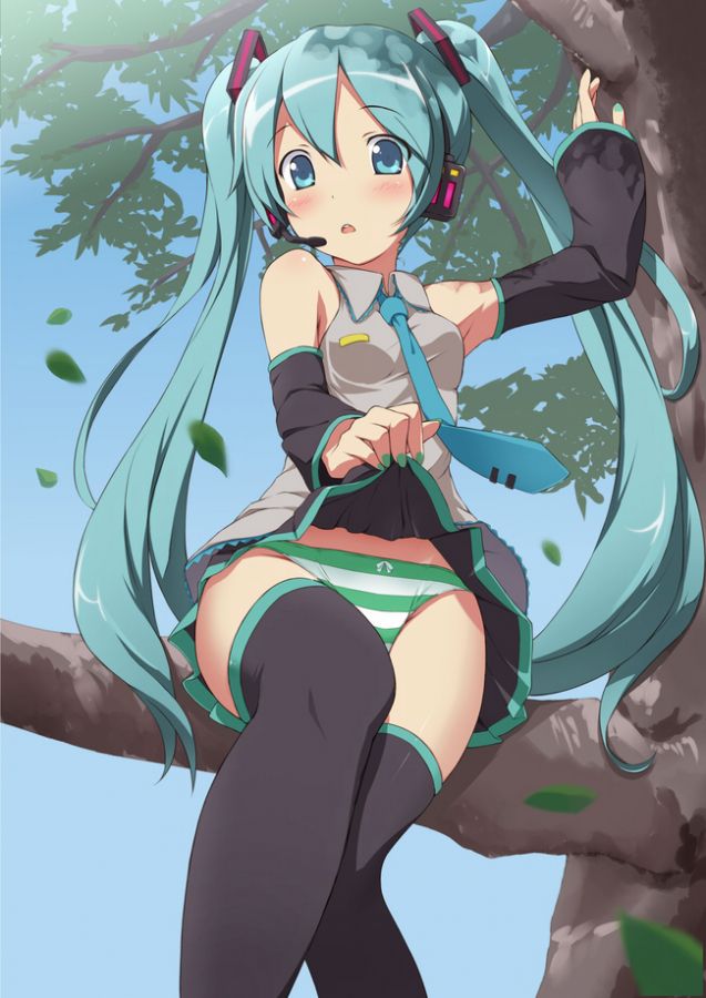 Vocaloid hatsune miku's second erotic pictures 2