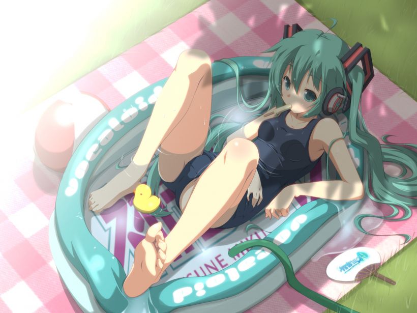 Vocaloid hatsune miku's second erotic pictures 24