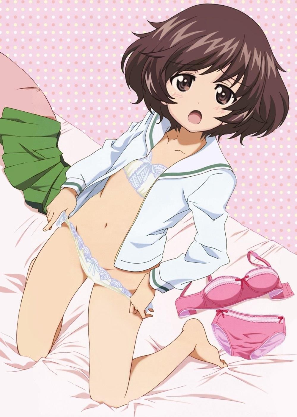 Erotic pictures of girls &amp; Panzer affixed to a random thread 39