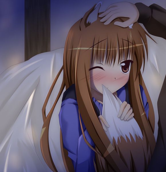 Spice and Wolf hentai picture pack 39