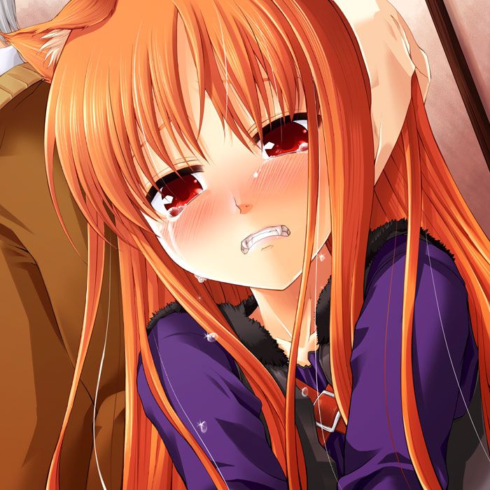 Spice and Wolf hentai picture pack 5