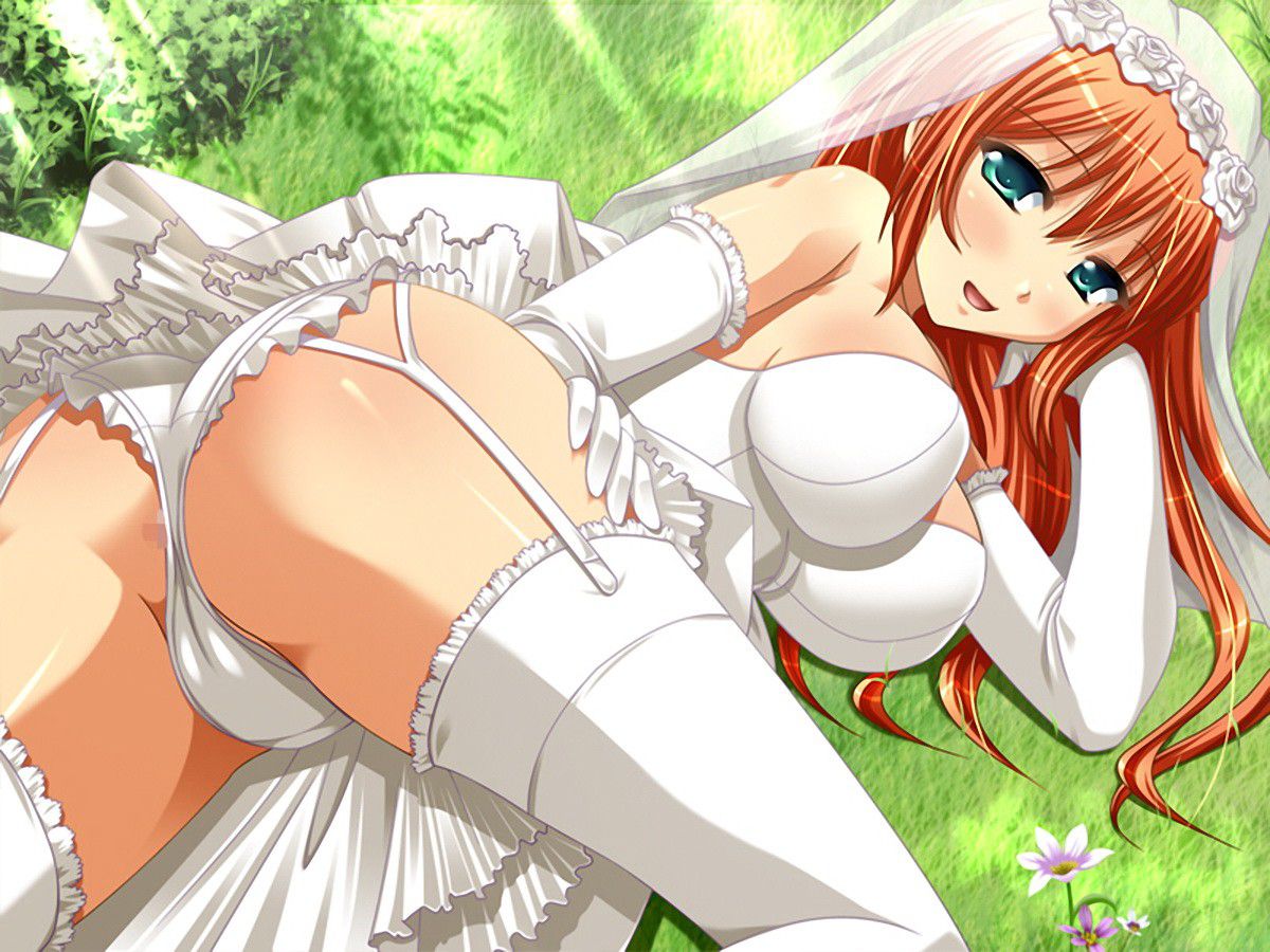 Secondary images of the girl wearing a wedding dress part 3 50 sheets [erotic and non-erotic] 34