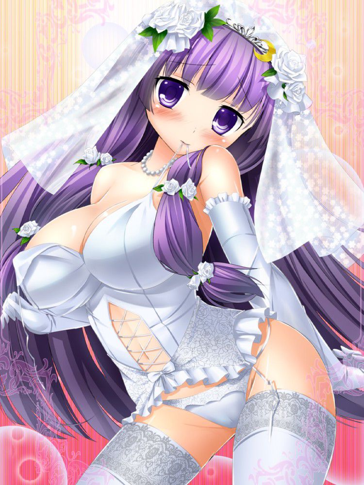 Secondary images of the girl wearing a wedding dress part 3 50 sheets [erotic and non-erotic] 40