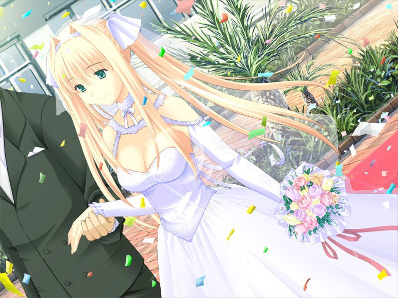 Two-dimensional erotic pictures of wedding dresses. 9