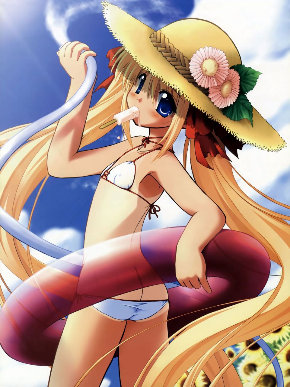 Cute swimsuit two-dimensional images. 1