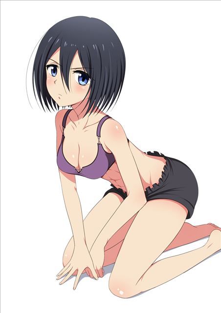 Giant invasion of Mikasa's naughty pictures part 2 1