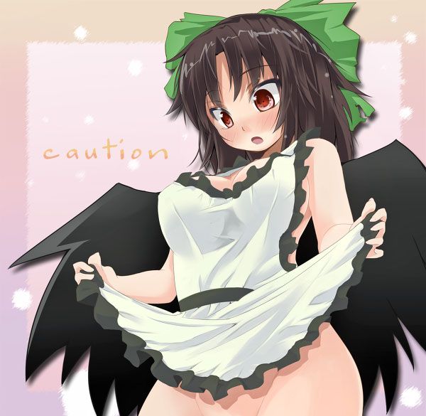 Charm of the touhou Project examined in erotic pictures 2