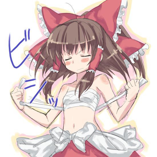 [Touhou Project: hakurei reimu erotic pictures 14