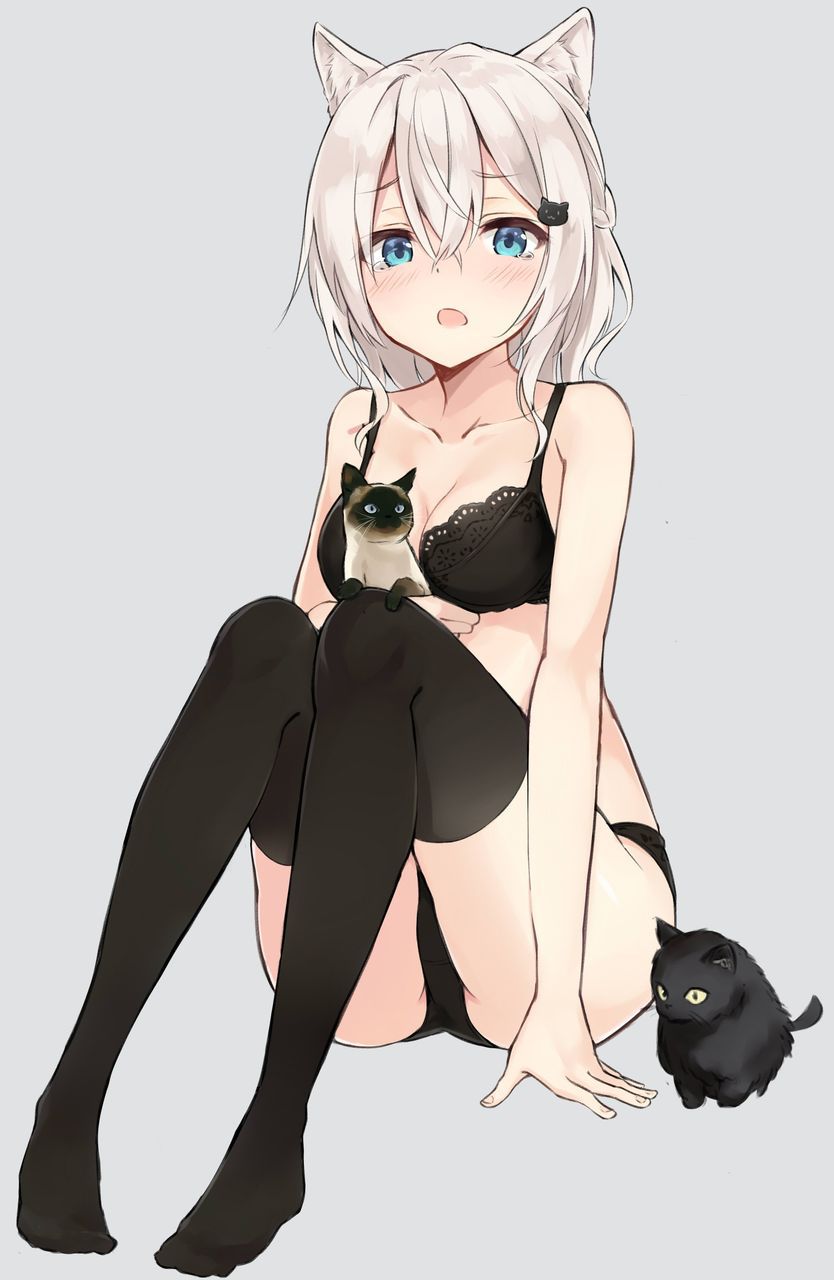 [2次] long want to head stroking cute nekomimi. secondary image of my daughter part 10 [animal ears! daughter] 23