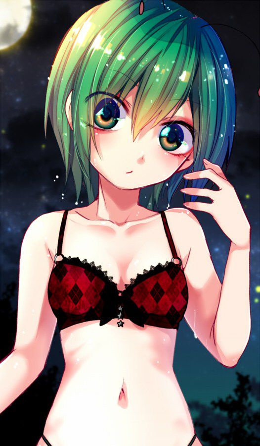 [East] of wriggle-night big secondary erotic images (1) 100 [touhou Project] 20
