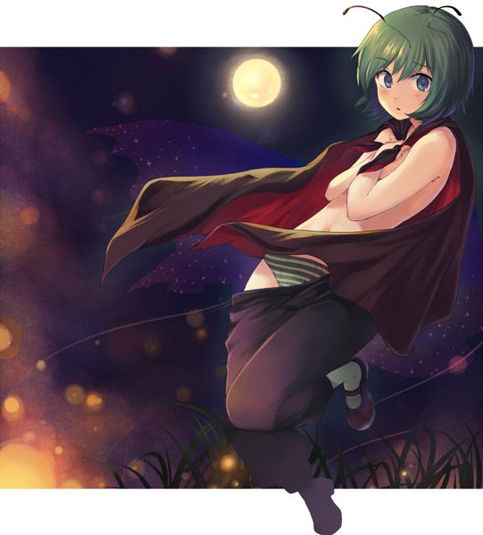 [East] of wriggle-night big secondary erotic images (1) 100 [touhou Project] 25
