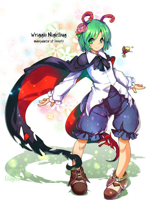 [East] of wriggle-night big secondary erotic images (1) 100 [touhou Project] 38