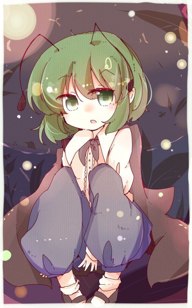 [East] of wriggle-night big secondary erotic images (1) 100 [touhou Project] 40