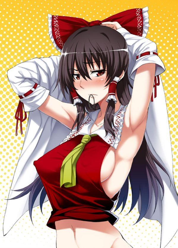 [Touhou Project: hakurei reimu image warehouse where it is! 3