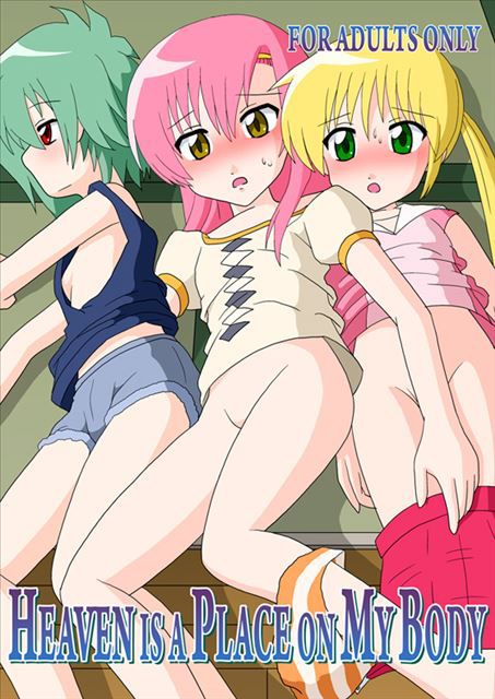 Hayate the combat Butler The erotic pictures part 3 (3000 hospital Nagi) 27