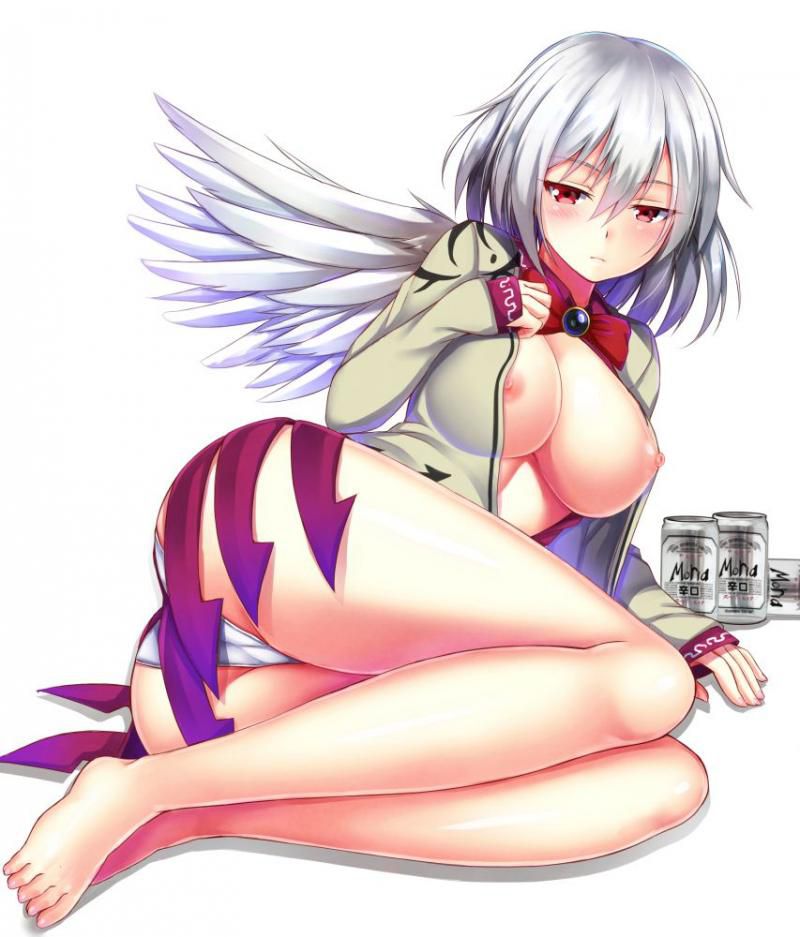 Want to pull in the touhou Project second erotic pictures! 20