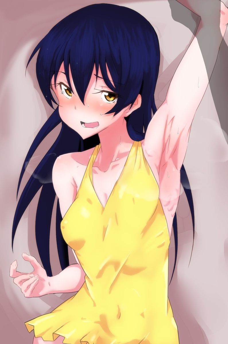 Sonoda sea unread's shameless I sexually harassed you. I'll need to overcome shy love live! Secondary erotic pictures 30