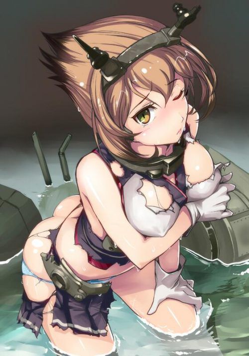 [Fleet abcdcollectionsabcdviewing] mutsu in one shot without you want 18